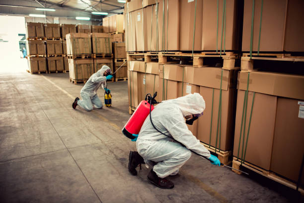 Best Mosquito Control Services  in East Camden, AR