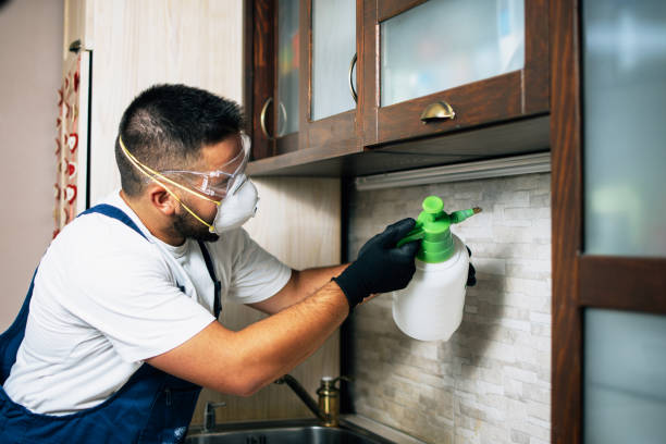 Best Insect Control  in East Camden, AR