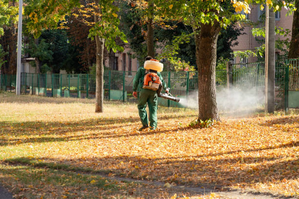 Best Best Pest Control Companies  in East Camden, AR