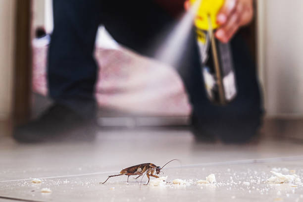 Best Pest Prevention Services  in East Camden, AR
