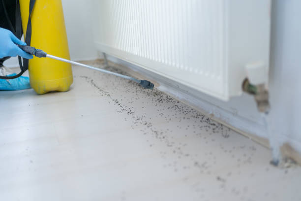 Best Pest Inspection Near Me  in East Camden, AR