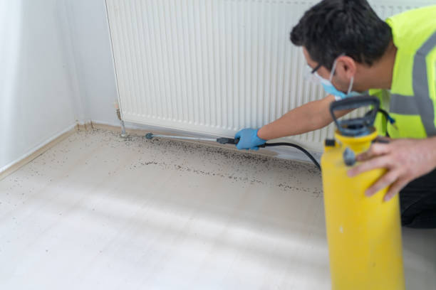 Pest Control Cost in East Camden, AR