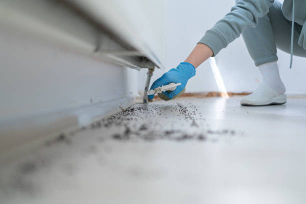 Best Best Pest Control Companies  in East Camden, AR