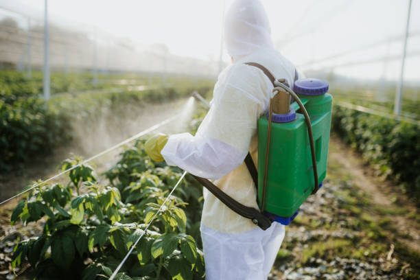 Best Exterminator Services  in East Camden, AR